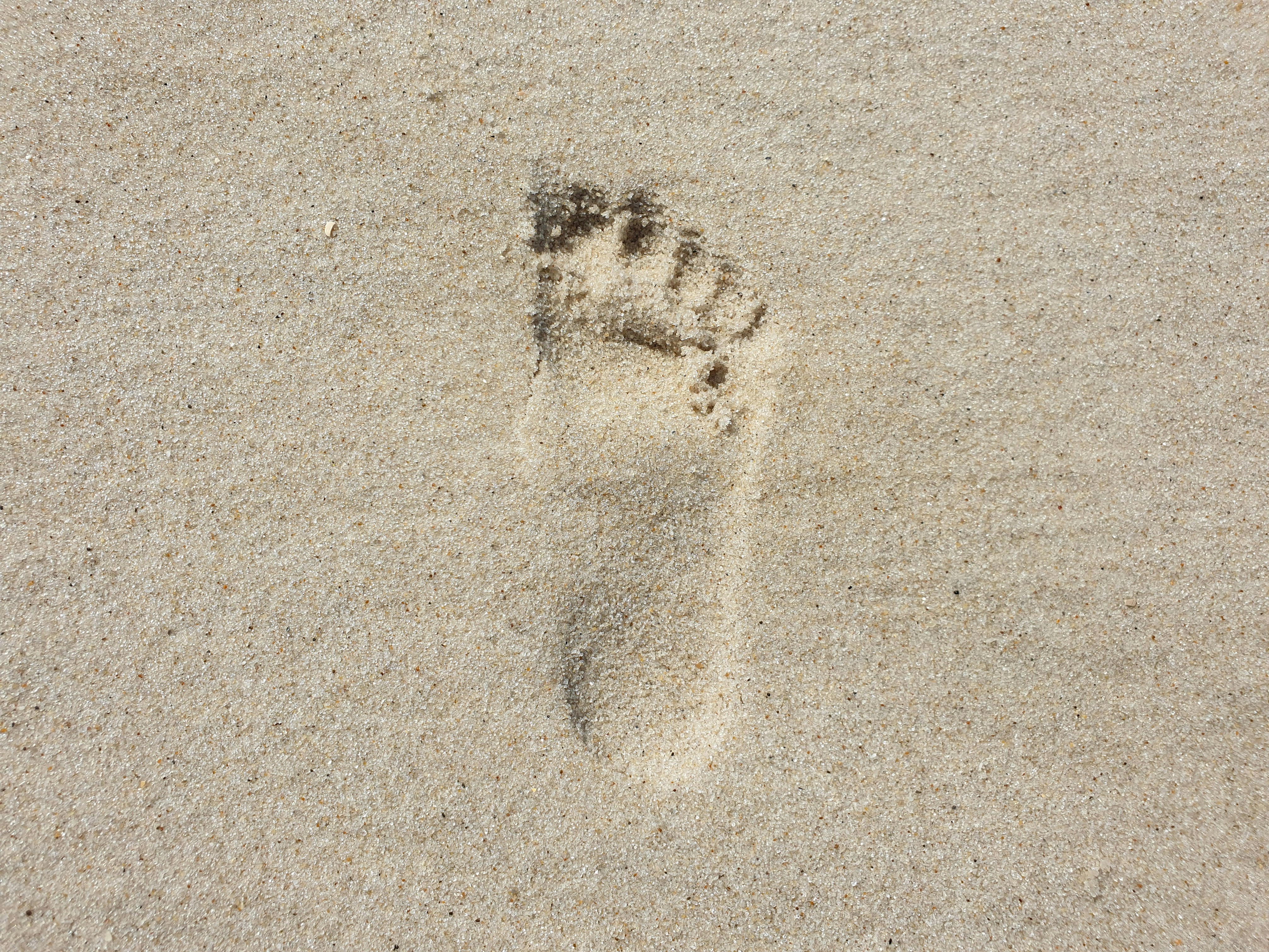 a foot print in the sand on a beach